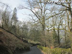 [P02] Drumul către Grasmere.  » foto by ariciu*
 - 
<span class="allrVoted glyphicon glyphicon-heart hidden" id="av607319"></span>
<a class="m-l-10 hidden" id="sv607319" onclick="voting_Foto_DelVot(,607319,18212)" role="button">șterge vot <span class="glyphicon glyphicon-remove"></span></a>
<a id="v9607319" class=" c-red"  onclick="voting_Foto_SetVot(607319)" role="button"><span class="glyphicon glyphicon-heart-empty"></span> <b>LIKE</b> = Votează poza</a> <img class="hidden"  id="f607319W9" src="/imagini/loader.gif" border="0" /><span class="AjErrMes hidden" id="e607319ErM"></span>