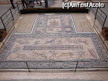 [P19] Muzeul Pergamon: mozaic roman din Gerasa(Iordania) » foto by mariana.olaru
 - 
<span class="allrVoted glyphicon glyphicon-heart hidden" id="av133233"></span>
<a class="m-l-10 hidden" id="sv133233" onclick="voting_Foto_DelVot(,133233,18249)" role="button">șterge vot <span class="glyphicon glyphicon-remove"></span></a>
<a id="v9133233" class=" c-red"  onclick="voting_Foto_SetVot(133233)" role="button"><span class="glyphicon glyphicon-heart-empty"></span> <b>LIKE</b> = Votează poza</a> <img class="hidden"  id="f133233W9" src="/imagini/loader.gif" border="0" /><span class="AjErrMes hidden" id="e133233ErM"></span>
