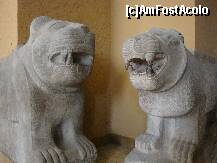 [P34] Muzeul Pergamon,secţiunea de artă arabă : animale fantastice ce străjuiau portile cetăţilor » foto by mariana.olaru
 - 
<span class="allrVoted glyphicon glyphicon-heart hidden" id="av133277"></span>
<a class="m-l-10 hidden" id="sv133277" onclick="voting_Foto_DelVot(,133277,18249)" role="button">șterge vot <span class="glyphicon glyphicon-remove"></span></a>
<a id="v9133277" class=" c-red"  onclick="voting_Foto_SetVot(133277)" role="button"><span class="glyphicon glyphicon-heart-empty"></span> <b>LIKE</b> = Votează poza</a> <img class="hidden"  id="f133277W9" src="/imagini/loader.gif" border="0" /><span class="AjErrMes hidden" id="e133277ErM"></span>