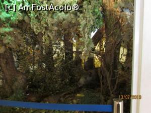[P28] Prin padurile Deltei. Flora danubiana.  » foto by Zoazore
 - 
<span class="allrVoted glyphicon glyphicon-heart hidden" id="av1125217"></span>
<a class="m-l-10 hidden" id="sv1125217" onclick="voting_Foto_DelVot(,1125217,18266)" role="button">șterge vot <span class="glyphicon glyphicon-remove"></span></a>
<a id="v91125217" class=" c-red"  onclick="voting_Foto_SetVot(1125217)" role="button"><span class="glyphicon glyphicon-heart-empty"></span> <b>LIKE</b> = Votează poza</a> <img class="hidden"  id="f1125217W9" src="/imagini/loader.gif" border="0" /><span class="AjErrMes hidden" id="e1125217ErM"></span>