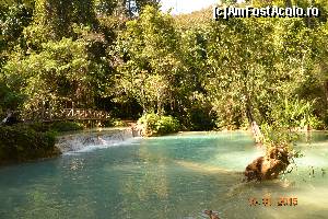 [P05] alta cascada » foto by andreea72
 - 
<span class="allrVoted glyphicon glyphicon-heart hidden" id="av671483"></span>
<a class="m-l-10 hidden" id="sv671483" onclick="voting_Foto_DelVot(,671483,18274)" role="button">șterge vot <span class="glyphicon glyphicon-remove"></span></a>
<a id="v9671483" class=" c-red"  onclick="voting_Foto_SetVot(671483)" role="button"><span class="glyphicon glyphicon-heart-empty"></span> <b>LIKE</b> = Votează poza</a> <img class="hidden"  id="f671483W9" src="/imagini/loader.gif" border="0" /><span class="AjErrMes hidden" id="e671483ErM"></span>