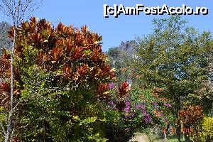 [P20] inapoi in parc » foto by andreea72
 - 
<span class="allrVoted glyphicon glyphicon-heart hidden" id="av697105"></span>
<a class="m-l-10 hidden" id="sv697105" onclick="voting_Foto_DelVot(,697105,18274)" role="button">șterge vot <span class="glyphicon glyphicon-remove"></span></a>
<a id="v9697105" class=" c-red"  onclick="voting_Foto_SetVot(697105)" role="button"><span class="glyphicon glyphicon-heart-empty"></span> <b>LIKE</b> = Votează poza</a> <img class="hidden"  id="f697105W9" src="/imagini/loader.gif" border="0" /><span class="AjErrMes hidden" id="e697105ErM"></span>