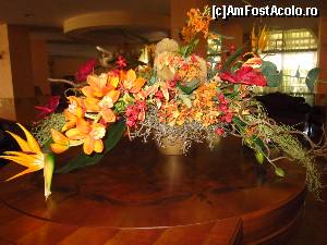 [P13] Aranjament floral la receptie cu pasarea paradisului » foto by HYUNDA-I*
 - 
<span class="allrVoted glyphicon glyphicon-heart hidden" id="av611234"></span>
<a class="m-l-10 hidden" id="sv611234" onclick="voting_Foto_DelVot(,611234,18301)" role="button">șterge vot <span class="glyphicon glyphicon-remove"></span></a>
<a id="v9611234" class=" c-red"  onclick="voting_Foto_SetVot(611234)" role="button"><span class="glyphicon glyphicon-heart-empty"></span> <b>LIKE</b> = Votează poza</a> <img class="hidden"  id="f611234W9" src="/imagini/loader.gif" border="0" /><span class="AjErrMes hidden" id="e611234ErM"></span>
