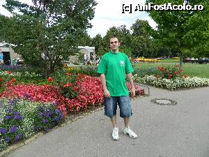 [P12] Bine ati venit in lumea florilor » foto by ciprian.dima
 - 
<span class="allrVoted glyphicon glyphicon-heart hidden" id="av357786"></span>
<a class="m-l-10 hidden" id="sv357786" onclick="voting_Foto_DelVot(,357786,18332)" role="button">șterge vot <span class="glyphicon glyphicon-remove"></span></a>
<a id="v9357786" class=" c-red"  onclick="voting_Foto_SetVot(357786)" role="button"><span class="glyphicon glyphicon-heart-empty"></span> <b>LIKE</b> = Votează poza</a> <img class="hidden"  id="f357786W9" src="/imagini/loader.gif" border="0" /><span class="AjErrMes hidden" id="e357786ErM"></span>