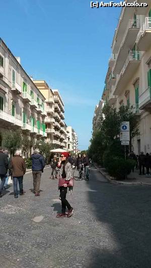 [P18] Molfetta » foto by #anca*
 - 
<span class="allrVoted glyphicon glyphicon-heart hidden" id="av614014"></span>
<a class="m-l-10 hidden" id="sv614014" onclick="voting_Foto_DelVot(,614014,18355)" role="button">șterge vot <span class="glyphicon glyphicon-remove"></span></a>
<a id="v9614014" class=" c-red"  onclick="voting_Foto_SetVot(614014)" role="button"><span class="glyphicon glyphicon-heart-empty"></span> <b>LIKE</b> = Votează poza</a> <img class="hidden"  id="f614014W9" src="/imagini/loader.gif" border="0" /><span class="AjErrMes hidden" id="e614014ErM"></span>