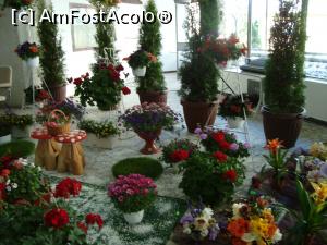 P21 [APR-2016] Aranjament floral la expozitia din Casa Cartii