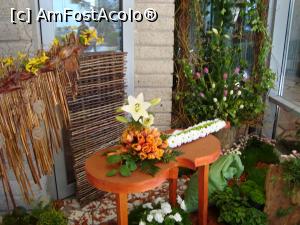 [P23] Casa Cartii - te invita la expozitie pentru 5 lei » foto by mireille
 - 
<span class="allrVoted glyphicon glyphicon-heart hidden" id="av732228"></span>
<a class="m-l-10 hidden" id="sv732228" onclick="voting_Foto_DelVot(,732228,18372)" role="button">șterge vot <span class="glyphicon glyphicon-remove"></span></a>
<a id="v9732228" class=" c-red"  onclick="voting_Foto_SetVot(732228)" role="button"><span class="glyphicon glyphicon-heart-empty"></span> <b>LIKE</b> = Votează poza</a> <img class="hidden"  id="f732228W9" src="/imagini/loader.gif" border="0" /><span class="AjErrMes hidden" id="e732228ErM"></span>
