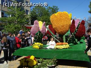 P07 [APR-2016] Al doilea car alegoric realizat cu ajutor olandez -tema lalelei