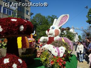 P08 [APR-2016] Al treilea car alegoric cu iepurasul de pasti, ce anunta evenimentele pascale