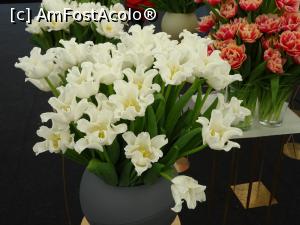 [P12] Culori și forme - expoziție interioară. » foto by tata123 🔱
 - 
<span class="allrVoted glyphicon glyphicon-heart hidden" id="av1291535"></span>
<a class="m-l-10 hidden" id="sv1291535" onclick="voting_Foto_DelVot(,1291535,18372)" role="button">șterge vot <span class="glyphicon glyphicon-remove"></span></a>
<a id="v91291535" class=" c-red"  onclick="voting_Foto_SetVot(1291535)" role="button"><span class="glyphicon glyphicon-heart-empty"></span> <b>LIKE</b> = Votează poza</a> <img class="hidden"  id="f1291535W9" src="/imagini/loader.gif" border="0" /><span class="AjErrMes hidden" id="e1291535ErM"></span>