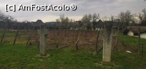 [P36] Cruce de hotar. » foto by Aurici
 - 
<span class="allrVoted glyphicon glyphicon-heart hidden" id="av1226174"></span>
<a class="m-l-10 hidden" id="sv1226174" onclick="voting_Foto_DelVot(,1226174,18373)" role="button">șterge vot <span class="glyphicon glyphicon-remove"></span></a>
<a id="v91226174" class=" c-red"  onclick="voting_Foto_SetVot(1226174)" role="button"><span class="glyphicon glyphicon-heart-empty"></span> <b>LIKE</b> = Votează poza</a> <img class="hidden"  id="f1226174W9" src="/imagini/loader.gif" border="0" /><span class="AjErrMes hidden" id="e1226174ErM"></span>