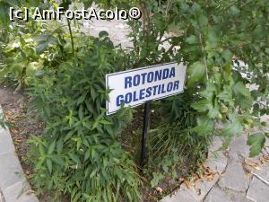 [P02] Din curtea Conacului Goleștilor.  » foto by mihaelavoicu
 - 
<span class="allrVoted glyphicon glyphicon-heart hidden" id="av1156284"></span>
<a class="m-l-10 hidden" id="sv1156284" onclick="voting_Foto_DelVot(,1156284,18373)" role="button">șterge vot <span class="glyphicon glyphicon-remove"></span></a>
<a id="v91156284" class=" c-red"  onclick="voting_Foto_SetVot(1156284)" role="button"><span class="glyphicon glyphicon-heart-empty"></span> <b>LIKE</b> = Votează poza</a> <img class="hidden"  id="f1156284W9" src="/imagini/loader.gif" border="0" /><span class="AjErrMes hidden" id="e1156284ErM"></span>