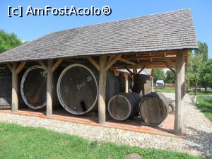 [P20] Sectorul instalații viticole - Golești.  » foto by tata123 🔱
 - 
<span class="allrVoted glyphicon glyphicon-heart hidden" id="av923341"></span>
<a class="m-l-10 hidden" id="sv923341" onclick="voting_Foto_DelVot(,923341,18373)" role="button">șterge vot <span class="glyphicon glyphicon-remove"></span></a>
<a id="v9923341" class=" c-red"  onclick="voting_Foto_SetVot(923341)" role="button"><span class="glyphicon glyphicon-heart-empty"></span> <b>LIKE</b> = Votează poza</a> <img class="hidden"  id="f923341W9" src="/imagini/loader.gif" border="0" /><span class="AjErrMes hidden" id="e923341ErM"></span>