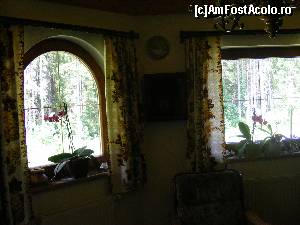 [P15]  -- <small>// FĂRĂ DESCRIERE</small> » foto by liviu49
 - 
<span class="allrVoted glyphicon glyphicon-heart hidden" id="av616797"></span>
<a class="m-l-10 hidden" id="sv616797" onclick="voting_Foto_DelVot(,616797,18397)" role="button">șterge vot <span class="glyphicon glyphicon-remove"></span></a>
<a id="v9616797" class=" c-red"  onclick="voting_Foto_SetVot(616797)" role="button"><span class="glyphicon glyphicon-heart-empty"></span> <b>LIKE</b> = Votează poza</a> <img class="hidden"  id="f616797W9" src="/imagini/loader.gif" border="0" /><span class="AjErrMes hidden" id="e616797ErM"></span>