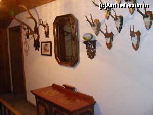 [P17]  -- <small>// FĂRĂ DESCRIERE</small> » foto by liviu49
 - 
<span class="allrVoted glyphicon glyphicon-heart hidden" id="av616799"></span>
<a class="m-l-10 hidden" id="sv616799" onclick="voting_Foto_DelVot(,616799,18397)" role="button">șterge vot <span class="glyphicon glyphicon-remove"></span></a>
<a id="v9616799" class=" c-red"  onclick="voting_Foto_SetVot(616799)" role="button"><span class="glyphicon glyphicon-heart-empty"></span> <b>LIKE</b> = Votează poza</a> <img class="hidden"  id="f616799W9" src="/imagini/loader.gif" border="0" /><span class="AjErrMes hidden" id="e616799ErM"></span>