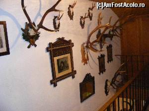 [P18]  -- <small>// FĂRĂ DESCRIERE</small> » foto by liviu49
 - 
<span class="allrVoted glyphicon glyphicon-heart hidden" id="av616800"></span>
<a class="m-l-10 hidden" id="sv616800" onclick="voting_Foto_DelVot(,616800,18397)" role="button">șterge vot <span class="glyphicon glyphicon-remove"></span></a>
<a id="v9616800" class=" c-red"  onclick="voting_Foto_SetVot(616800)" role="button"><span class="glyphicon glyphicon-heart-empty"></span> <b>LIKE</b> = Votează poza</a> <img class="hidden"  id="f616800W9" src="/imagini/loader.gif" border="0" /><span class="AjErrMes hidden" id="e616800ErM"></span>