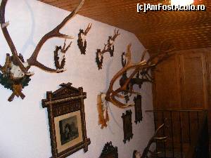 [P22]  -- <small>// FĂRĂ DESCRIERE</small> » foto by liviu49
 - 
<span class="allrVoted glyphicon glyphicon-heart hidden" id="av616804"></span>
<a class="m-l-10 hidden" id="sv616804" onclick="voting_Foto_DelVot(,616804,18397)" role="button">șterge vot <span class="glyphicon glyphicon-remove"></span></a>
<a id="v9616804" class=" c-red"  onclick="voting_Foto_SetVot(616804)" role="button"><span class="glyphicon glyphicon-heart-empty"></span> <b>LIKE</b> = Votează poza</a> <img class="hidden"  id="f616804W9" src="/imagini/loader.gif" border="0" /><span class="AjErrMes hidden" id="e616804ErM"></span>