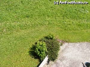 [P12] Pajistea din curte vazuta de la balcon.  » foto by liviu49
 - 
<span class="allrVoted glyphicon glyphicon-heart hidden" id="av616965"></span>
<a class="m-l-10 hidden" id="sv616965" onclick="voting_Foto_DelVot(,616965,18397)" role="button">șterge vot <span class="glyphicon glyphicon-remove"></span></a>
<a id="v9616965" class=" c-red"  onclick="voting_Foto_SetVot(616965)" role="button"><span class="glyphicon glyphicon-heart-empty"></span> <b>LIKE</b> = Votează poza</a> <img class="hidden"  id="f616965W9" src="/imagini/loader.gif" border="0" /><span class="AjErrMes hidden" id="e616965ErM"></span>