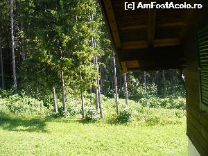 [P15] Padurea de langa pensiune, asa cum se vede de la balcon.  » foto by liviu49
 - 
<span class="allrVoted glyphicon glyphicon-heart hidden" id="av616973"></span>
<a class="m-l-10 hidden" id="sv616973" onclick="voting_Foto_DelVot(,616973,18397)" role="button">șterge vot <span class="glyphicon glyphicon-remove"></span></a>
<a id="v9616973" class=" c-red"  onclick="voting_Foto_SetVot(616973)" role="button"><span class="glyphicon glyphicon-heart-empty"></span> <b>LIKE</b> = Votează poza</a> <img class="hidden"  id="f616973W9" src="/imagini/loader.gif" border="0" /><span class="AjErrMes hidden" id="e616973ErM"></span>