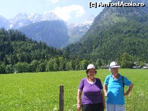 [P19]  -- <small>// FĂRĂ DESCRIERE</small> » foto by liviu49
 - 
<span class="allrVoted glyphicon glyphicon-heart hidden" id="av616977"></span>
<a class="m-l-10 hidden" id="sv616977" onclick="voting_Foto_DelVot(,616977,18397)" role="button">șterge vot <span class="glyphicon glyphicon-remove"></span></a>
<a id="v9616977" class=" c-red"  onclick="voting_Foto_SetVot(616977)" role="button"><span class="glyphicon glyphicon-heart-empty"></span> <b>LIKE</b> = Votează poza</a> <img class="hidden"  id="f616977W9" src="/imagini/loader.gif" border="0" /><span class="AjErrMes hidden" id="e616977ErM"></span>