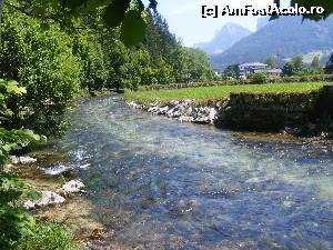 [P21]  -- <small>// FĂRĂ DESCRIERE</small> » foto by liviu49
 - 
<span class="allrVoted glyphicon glyphicon-heart hidden" id="av616979"></span>
<a class="m-l-10 hidden" id="sv616979" onclick="voting_Foto_DelVot(,616979,18397)" role="button">șterge vot <span class="glyphicon glyphicon-remove"></span></a>
<a id="v9616979" class=" c-red"  onclick="voting_Foto_SetVot(616979)" role="button"><span class="glyphicon glyphicon-heart-empty"></span> <b>LIKE</b> = Votează poza</a> <img class="hidden"  id="f616979W9" src="/imagini/loader.gif" border="0" /><span class="AjErrMes hidden" id="e616979ErM"></span>