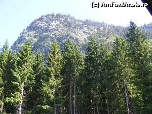 [P07] Vecinul nostru muntele, vazut de la balcon.  » foto by liviu49
 - 
<span class="allrVoted glyphicon glyphicon-heart hidden" id="av616950"></span>
<a class="m-l-10 hidden" id="sv616950" onclick="voting_Foto_DelVot(,616950,18397)" role="button">șterge vot <span class="glyphicon glyphicon-remove"></span></a>
<a id="v9616950" class=" c-red"  onclick="voting_Foto_SetVot(616950)" role="button"><span class="glyphicon glyphicon-heart-empty"></span> <b>LIKE</b> = Votează poza</a> <img class="hidden"  id="f616950W9" src="/imagini/loader.gif" border="0" /><span class="AjErrMes hidden" id="e616950ErM"></span>