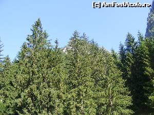 [P08] Padurea vecina, cum se vede de la balcon.  » foto by liviu49
 - 
<span class="allrVoted glyphicon glyphicon-heart hidden" id="av616952"></span>
<a class="m-l-10 hidden" id="sv616952" onclick="voting_Foto_DelVot(,616952,18397)" role="button">șterge vot <span class="glyphicon glyphicon-remove"></span></a>
<a id="v9616952" class=" c-red"  onclick="voting_Foto_SetVot(616952)" role="button"><span class="glyphicon glyphicon-heart-empty"></span> <b>LIKE</b> = Votează poza</a> <img class="hidden"  id="f616952W9" src="/imagini/loader.gif" border="0" /><span class="AjErrMes hidden" id="e616952ErM"></span>