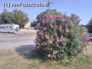 [P12] Parcare de rulote la ieșirea de pe plaja Kiani.  » foto by Carmen Ion
 - 
<span class="allrVoted glyphicon glyphicon-heart hidden" id="av1133954"></span>
<a class="m-l-10 hidden" id="sv1133954" onclick="voting_Foto_DelVot(,1133954,18402)" role="button">șterge vot <span class="glyphicon glyphicon-remove"></span></a>
<a id="v91133954" class=" c-red"  onclick="voting_Foto_SetVot(1133954)" role="button"><span class="glyphicon glyphicon-heart-empty"></span> <b>LIKE</b> = Votează poza</a> <img class="hidden"  id="f1133954W9" src="/imagini/loader.gif" border="0" /><span class="AjErrMes hidden" id="e1133954ErM"></span>