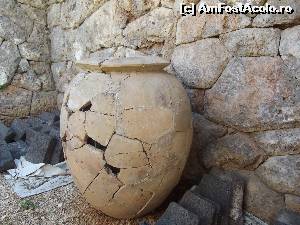 [P33] Alt vas de lut, ceva mai complet.  » foto by irinad
 - 
<span class="allrVoted glyphicon glyphicon-heart hidden" id="av591979"></span>
<a class="m-l-10 hidden" id="sv591979" onclick="voting_Foto_DelVot(,591979,18403)" role="button">șterge vot <span class="glyphicon glyphicon-remove"></span></a>
<a id="v9591979" class=" c-red"  onclick="voting_Foto_SetVot(591979)" role="button"><span class="glyphicon glyphicon-heart-empty"></span> <b>LIKE</b> = Votează poza</a> <img class="hidden"  id="f591979W9" src="/imagini/loader.gif" border="0" /><span class="AjErrMes hidden" id="e591979ErM"></span>