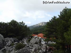 [P10] Manastirea Agios Dimitrios ramane tot mai jos » foto by irinad
 - 
<span class="allrVoted glyphicon glyphicon-heart hidden" id="av592902"></span>
<a class="m-l-10 hidden" id="sv592902" onclick="voting_Foto_DelVot(,592902,18403)" role="button">șterge vot <span class="glyphicon glyphicon-remove"></span></a>
<a id="v9592902" class=" c-red"  onclick="voting_Foto_SetVot(592902)" role="button"><span class="glyphicon glyphicon-heart-empty"></span> <b>LIKE</b> = Votează poza</a> <img class="hidden"  id="f592902W9" src="/imagini/loader.gif" border="0" /><span class="AjErrMes hidden" id="e592902ErM"></span>
