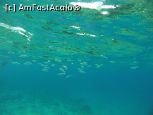 [P41] Ammoussa beach 2 » foto by Eduard D
 - 
<span class="allrVoted glyphicon glyphicon-heart hidden" id="av1130567"></span>
<a class="m-l-10 hidden" id="sv1130567" onclick="voting_Foto_DelVot(,1130567,18403)" role="button">șterge vot <span class="glyphicon glyphicon-remove"></span></a>
<a id="v91130567" class=" c-red"  onclick="voting_Foto_SetVot(1130567)" role="button"><span class="glyphicon glyphicon-heart-empty"></span> <b>LIKE</b> = Votează poza</a> <img class="hidden"  id="f1130567W9" src="/imagini/loader.gif" border="0" /><span class="AjErrMes hidden" id="e1130567ErM"></span>