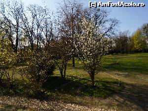 [P04] Springer Schlössl-parcul hotelului » foto by krisztike
 - 
<span class="allrVoted glyphicon glyphicon-heart hidden" id="av617306"></span>
<a class="m-l-10 hidden" id="sv617306" onclick="voting_Foto_DelVot(,617306,18415)" role="button">șterge vot <span class="glyphicon glyphicon-remove"></span></a>
<a id="v9617306" class=" c-red"  onclick="voting_Foto_SetVot(617306)" role="button"><span class="glyphicon glyphicon-heart-empty"></span> <b>LIKE</b> = Votează poza</a> <img class="hidden"  id="f617306W9" src="/imagini/loader.gif" border="0" /><span class="AjErrMes hidden" id="e617306ErM"></span>