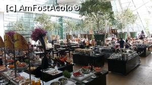 [P13] La micul dejun - restaurant Adrift » foto by Kyandra
 - 
<span class="allrVoted glyphicon glyphicon-heart hidden" id="av852820"></span>
<a class="m-l-10 hidden" id="sv852820" onclick="voting_Foto_DelVot(,852820,18508)" role="button">șterge vot <span class="glyphicon glyphicon-remove"></span></a>
<a id="v9852820" class=" c-red"  onclick="voting_Foto_SetVot(852820)" role="button"><span class="glyphicon glyphicon-heart-empty"></span> <b>LIKE</b> = Votează poza</a> <img class="hidden"  id="f852820W9" src="/imagini/loader.gif" border="0" /><span class="AjErrMes hidden" id="e852820ErM"></span>