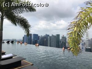 [P02] piscina celebra » foto by rentea
 - 
<span class="allrVoted glyphicon glyphicon-heart hidden" id="av1178114"></span>
<a class="m-l-10 hidden" id="sv1178114" onclick="voting_Foto_DelVot(,1178114,18508)" role="button">șterge vot <span class="glyphicon glyphicon-remove"></span></a>
<a id="v91178114" class=" c-red"  onclick="voting_Foto_SetVot(1178114)" role="button"><span class="glyphicon glyphicon-heart-empty"></span> <b>LIKE</b> = Votează poza</a> <img class="hidden"  id="f1178114W9" src="/imagini/loader.gif" border="0" /><span class="AjErrMes hidden" id="e1178114ErM"></span>