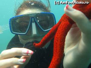 [P03]  -- <small>// FĂRĂ DESCRIERE</small> » foto by discordia
 - 
<span class="allrVoted glyphicon glyphicon-heart hidden" id="av623397"></span>
<a class="m-l-10 hidden" id="sv623397" onclick="voting_Foto_DelVot(,623397,18546)" role="button">șterge vot <span class="glyphicon glyphicon-remove"></span></a>
<a id="v9623397" class=" c-red"  onclick="voting_Foto_SetVot(623397)" role="button"><span class="glyphicon glyphicon-heart-empty"></span> <b>LIKE</b> = Votează poza</a> <img class="hidden"  id="f623397W9" src="/imagini/loader.gif" border="0" /><span class="AjErrMes hidden" id="e623397ErM"></span>