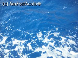 [P39]  -- <small>// FĂRĂ DESCRIERE</small> » foto by RossoNerro
 - 
<span class="allrVoted glyphicon glyphicon-heart hidden" id="av875665"></span>
<a class="m-l-10 hidden" id="sv875665" onclick="voting_Foto_DelVot(,875665,18547)" role="button">șterge vot <span class="glyphicon glyphicon-remove"></span></a>
<a id="v9875665" class=" c-red"  onclick="voting_Foto_SetVot(875665)" role="button"><span class="glyphicon glyphicon-heart-empty"></span> <b>LIKE</b> = Votează poza</a> <img class="hidden"  id="f875665W9" src="/imagini/loader.gif" border="0" /><span class="AjErrMes hidden" id="e875665ErM"></span>