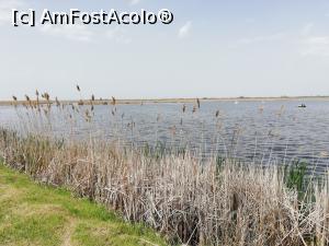 [P05] Parc Aventura Comana » foto by ⭐ValentinB_88⭐
 - 
<span class="allrVoted glyphicon glyphicon-heart hidden" id="av1293642"></span>
<a class="m-l-10 hidden" id="sv1293642" onclick="voting_Foto_DelVot(,1293642,18559)" role="button">șterge vot <span class="glyphicon glyphicon-remove"></span></a>
<a id="v91293642" class=" c-red"  onclick="voting_Foto_SetVot(1293642)" role="button"><span class="glyphicon glyphicon-heart-empty"></span> <b>LIKE</b> = Votează poza</a> <img class="hidden"  id="f1293642W9" src="/imagini/loader.gif" border="0" /><span class="AjErrMes hidden" id="e1293642ErM"></span>