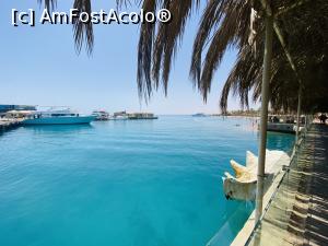[P37] Sindbad terasa. De aici am luat un fres de gructe naturale excelent, in bidon de 2l » foto by floraur
 - 
<span class="allrVoted glyphicon glyphicon-heart hidden" id="av1224443"></span>
<a class="m-l-10 hidden" id="sv1224443" onclick="voting_Foto_DelVot(,1224443,18563)" role="button">șterge vot <span class="glyphicon glyphicon-remove"></span></a>
<a id="v91224443" class=" c-red"  onclick="voting_Foto_SetVot(1224443)" role="button"><span class="glyphicon glyphicon-heart-empty"></span> <b>LIKE</b> = Votează poza</a> <img class="hidden"  id="f1224443W9" src="/imagini/loader.gif" border="0" /><span class="AjErrMes hidden" id="e1224443ErM"></span>