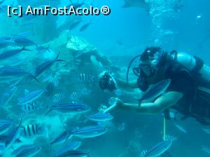 [P41] poze din interiorul submarinului » foto by floraur
 - 
<span class="allrVoted glyphicon glyphicon-heart hidden" id="av1224447"></span>
<a class="m-l-10 hidden" id="sv1224447" onclick="voting_Foto_DelVot(,1224447,18563)" role="button">șterge vot <span class="glyphicon glyphicon-remove"></span></a>
<a id="v91224447" class=" c-red"  onclick="voting_Foto_SetVot(1224447)" role="button"><span class="glyphicon glyphicon-heart-empty"></span> <b>LIKE</b> = Votează poza</a> <img class="hidden"  id="f1224447W9" src="/imagini/loader.gif" border="0" /><span class="AjErrMes hidden" id="e1224447ErM"></span>