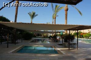 [P13] piscina bebelusi » foto by crinatoader
 - 
<span class="allrVoted glyphicon glyphicon-heart hidden" id="av1265141"></span>
<a class="m-l-10 hidden" id="sv1265141" onclick="voting_Foto_DelVot(,1265141,18563)" role="button">șterge vot <span class="glyphicon glyphicon-remove"></span></a>
<a id="v91265141" class=" c-red"  onclick="voting_Foto_SetVot(1265141)" role="button"><span class="glyphicon glyphicon-heart-empty"></span> <b>LIKE</b> = Votează poza</a> <img class="hidden"  id="f1265141W9" src="/imagini/loader.gif" border="0" /><span class="AjErrMes hidden" id="e1265141ErM"></span>