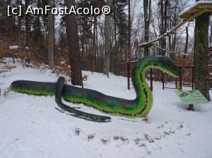 [P08] Șarpele cel rău: Titanoboa. » foto by tata123 🔱
 - 
<span class="allrVoted glyphicon glyphicon-heart hidden" id="av1276914"></span>
<a class="m-l-10 hidden" id="sv1276914" onclick="voting_Foto_DelVot(,1276914,18612)" role="button">șterge vot <span class="glyphicon glyphicon-remove"></span></a>
<a id="v91276914" class=" c-red"  onclick="voting_Foto_SetVot(1276914)" role="button"><span class="glyphicon glyphicon-heart-empty"></span> <b>LIKE</b> = Votează poza</a> <img class="hidden"  id="f1276914W9" src="/imagini/loader.gif" border="0" /><span class="AjErrMes hidden" id="e1276914ErM"></span>