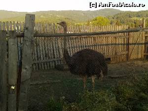 [P13] Strutul » foto by Squirrel
 - 
<span class="allrVoted glyphicon glyphicon-heart hidden" id="av630988"></span>
<a class="m-l-10 hidden" id="sv630988" onclick="voting_Foto_DelVot(,630988,18647)" role="button">șterge vot <span class="glyphicon glyphicon-remove"></span></a>
<a id="v9630988" class=" c-red"  onclick="voting_Foto_SetVot(630988)" role="button"><span class="glyphicon glyphicon-heart-empty"></span> <b>LIKE</b> = Votează poza</a> <img class="hidden"  id="f630988W9" src="/imagini/loader.gif" border="0" /><span class="AjErrMes hidden" id="e630988ErM"></span>