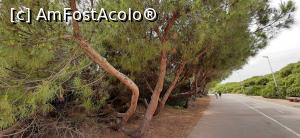 [P10] Faleza dinspre Castelldefels spre Gava » foto by malganis
 - 
<span class="allrVoted glyphicon glyphicon-heart hidden" id="av1233029"></span>
<a class="m-l-10 hidden" id="sv1233029" onclick="voting_Foto_DelVot(,1233029,18680)" role="button">șterge vot <span class="glyphicon glyphicon-remove"></span></a>
<a id="v91233029" class=" c-red"  onclick="voting_Foto_SetVot(1233029)" role="button"><span class="glyphicon glyphicon-heart-empty"></span> <b>LIKE</b> = Votează poza</a> <img class="hidden"  id="f1233029W9" src="/imagini/loader.gif" border="0" /><span class="AjErrMes hidden" id="e1233029ErM"></span>