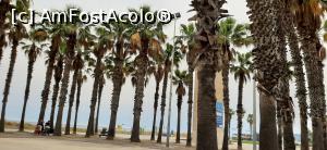 [P06] Faleza în Castelldefels » foto by malganis
 - 
<span class="allrVoted glyphicon glyphicon-heart hidden" id="av1233025"></span>
<a class="m-l-10 hidden" id="sv1233025" onclick="voting_Foto_DelVot(,1233025,18680)" role="button">șterge vot <span class="glyphicon glyphicon-remove"></span></a>
<a id="v91233025" class=" c-red"  onclick="voting_Foto_SetVot(1233025)" role="button"><span class="glyphicon glyphicon-heart-empty"></span> <b>LIKE</b> = Votează poza</a> <img class="hidden"  id="f1233025W9" src="/imagini/loader.gif" border="0" /><span class="AjErrMes hidden" id="e1233025ErM"></span>
