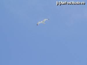 [P13] la revedere » foto by killtox
 - 
<span class="allrVoted glyphicon glyphicon-heart hidden" id="av637357"></span>
<a class="m-l-10 hidden" id="sv637357" onclick="voting_Foto_DelVot(,637357,18765)" role="button">șterge vot <span class="glyphicon glyphicon-remove"></span></a>
<a id="v9637357" class=" c-red"  onclick="voting_Foto_SetVot(637357)" role="button"><span class="glyphicon glyphicon-heart-empty"></span> <b>LIKE</b> = Votează poza</a> <img class="hidden"  id="f637357W9" src="/imagini/loader.gif" border="0" /><span class="AjErrMes hidden" id="e637357ErM"></span>