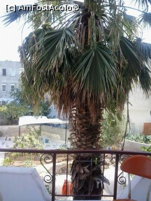 [P22] Din balcon » foto by Cristi Siderof
 - 
<span class="allrVoted glyphicon glyphicon-heart hidden" id="av738462"></span>
<a class="m-l-10 hidden" id="sv738462" onclick="voting_Foto_DelVot(,738462,18787)" role="button">șterge vot <span class="glyphicon glyphicon-remove"></span></a>
<a id="v9738462" class=" c-red"  onclick="voting_Foto_SetVot(738462)" role="button"><span class="glyphicon glyphicon-heart-empty"></span> <b>LIKE</b> = Votează poza</a> <img class="hidden"  id="f738462W9" src="/imagini/loader.gif" border="0" /><span class="AjErrMes hidden" id="e738462ErM"></span>