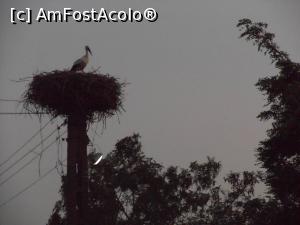 [P32] Mila 23 - Vecina noastră, barza.  » foto by iulianic
 - 
<span class="allrVoted glyphicon glyphicon-heart hidden" id="av1108294"></span>
<a class="m-l-10 hidden" id="sv1108294" onclick="voting_Foto_DelVot(,1108294,18815)" role="button">șterge vot <span class="glyphicon glyphicon-remove"></span></a>
<a id="v91108294" class=" c-red"  onclick="voting_Foto_SetVot(1108294)" role="button"><span class="glyphicon glyphicon-heart-empty"></span> <b>LIKE</b> = Votează poza</a> <img class="hidden"  id="f1108294W9" src="/imagini/loader.gif" border="0" /><span class="AjErrMes hidden" id="e1108294ErM"></span>