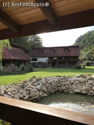 [P33] Prin curtea pensiunii » foto by krisstinna
 - 
<span class="allrVoted glyphicon glyphicon-heart hidden" id="av1193056"></span>
<a class="m-l-10 hidden" id="sv1193056" onclick="voting_Foto_DelVot(,1193056,18901)" role="button">șterge vot <span class="glyphicon glyphicon-remove"></span></a>
<a id="v91193056" class=" c-red"  onclick="voting_Foto_SetVot(1193056)" role="button"><span class="glyphicon glyphicon-heart-empty"></span> <b>LIKE</b> = Votează poza</a> <img class="hidden"  id="f1193056W9" src="/imagini/loader.gif" border="0" /><span class="AjErrMes hidden" id="e1193056ErM"></span>