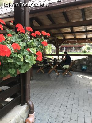 [P35] Pe terasă » foto by krisstinna
 - 
<span class="allrVoted glyphicon glyphicon-heart hidden" id="av1193058"></span>
<a class="m-l-10 hidden" id="sv1193058" onclick="voting_Foto_DelVot(,1193058,18901)" role="button">șterge vot <span class="glyphicon glyphicon-remove"></span></a>
<a id="v91193058" class=" c-red"  onclick="voting_Foto_SetVot(1193058)" role="button"><span class="glyphicon glyphicon-heart-empty"></span> <b>LIKE</b> = Votează poza</a> <img class="hidden"  id="f1193058W9" src="/imagini/loader.gif" border="0" /><span class="AjErrMes hidden" id="e1193058ErM"></span>