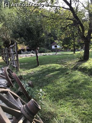 [P48] Prin grădină » foto by krisstinna
 - 
<span class="allrVoted glyphicon glyphicon-heart hidden" id="av1193071"></span>
<a class="m-l-10 hidden" id="sv1193071" onclick="voting_Foto_DelVot(,1193071,18901)" role="button">șterge vot <span class="glyphicon glyphicon-remove"></span></a>
<a id="v91193071" class=" c-red"  onclick="voting_Foto_SetVot(1193071)" role="button"><span class="glyphicon glyphicon-heart-empty"></span> <b>LIKE</b> = Votează poza</a> <img class="hidden"  id="f1193071W9" src="/imagini/loader.gif" border="0" /><span class="AjErrMes hidden" id="e1193071ErM"></span>